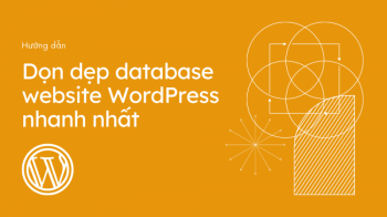 Hướng dẫn dọn dẹp Database website WordPress nhanh nhất