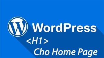 Cách thêm thẻ H1 vào trang chủ homepage trong wordpress – tối ưu SEO