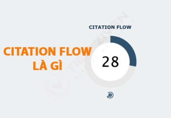 Trust Flow là gì? Citation Flow là gì? Cách check TF CF